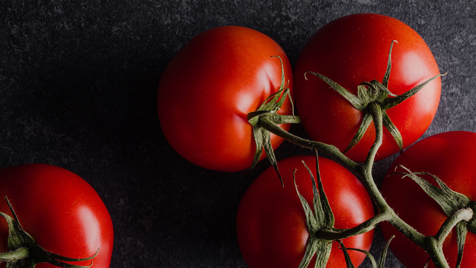 Juicy red tomatoes on the vine laid on a dark textured surface